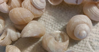 New Fall Winter Items