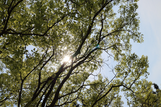 Sold Out | Waitlist Sign Up